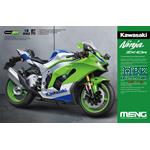 Kawasaki Ninja ZX-10R