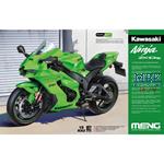 Kawasaki Ninja ZX-10RR