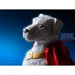 Krypto the Superdog Vinyl Kit (Superman)
