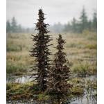 Abgestorbene Fichten / Dead Spruce Trees (2 pcs.)