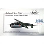 Blohm & Voss P.213