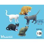 1/35 Cats for cat lovers