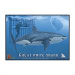 Der weiße Hai & Taucher Great White Shark & Diver
