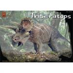 Triceratops Dinosaur Three-Horned Face