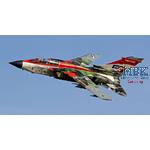 Panavia Tornado IDS "50 Years"