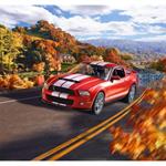 2010 Ford Shelby GT 500 - Model Set