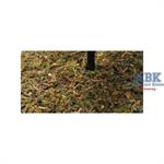 Forest-in-a-Pot - Green Forest Forest-in-a-Pot - Green Forest