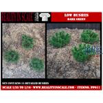 Low bushes dark green