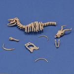 Antelope skeleton (1:35)