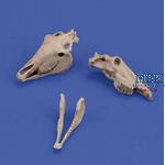 Horse Skulls 1:35 3d printed