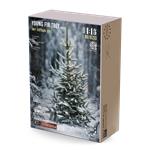 Young Fir Tree 1/16