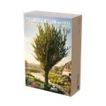 Pollarded Willow / Kopfweide No.3 (250 mm)