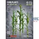 SwiftVegetation: Corn Plants