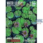 Water Lilies / Wasserlilien No.2