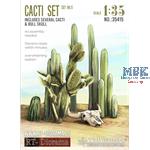 Cacti Set #1