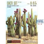 Cacti Set #2