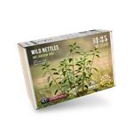 Wild Nettles / Brennnesseln