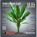 SwiftVegetation: Young Banana Plant