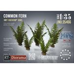 SwiftVegetation: Common Fern Set