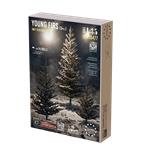 Young Fir Trees Set / Junge Tannen (40, 70, 90 mm)