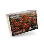 Lush Poppies / Mohnblumen