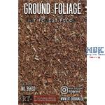 Ground Foliage: Dry forest floor