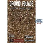 Ground Foliage: Forest floor moss