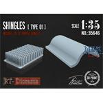 3D Resin Print: Shingles (Type 1)