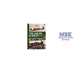Aviation Guide: IAR.80 & IAR.81