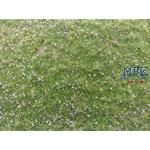 Naturwiese, lang, Herbst