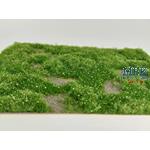 Wildwuchs, niedrig, Frühling