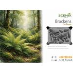 Bracken / Farn