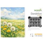 Dandelion / Löwenzahn