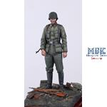Waffen SS Soldier (WW II) No. 2