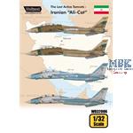 The Last Active Tomcats - Iranian "Alicat" (F14A)