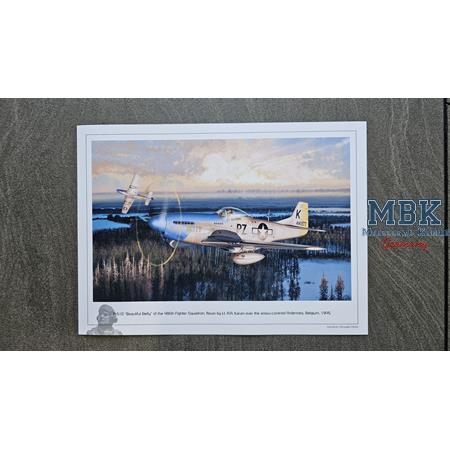 P-51D Mustang ANTWERP GUARDIANS - 1/48 Collectors'