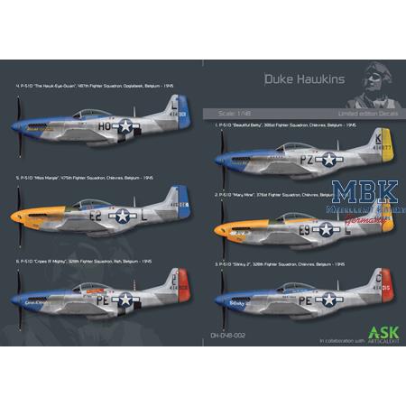 P-51D Mustang ANTWERP GUARDIANS - 1/48 Collectors'