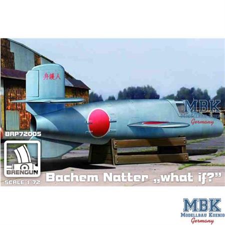 Bachem Ba 349A 'Natter' "What if?"