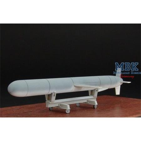 BGM-109 Tomahawk Cruise Missile