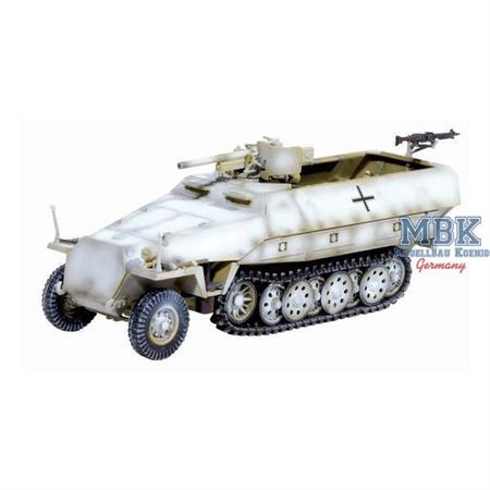 Sd.Kfz.251/10 Ausf.D, Unidentified Unit, Eastern F