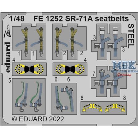 Lockheed SR-71 Blackbird seatbelts STEEL 1/48