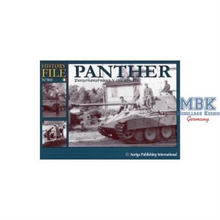 History File No. 01 - Panther
