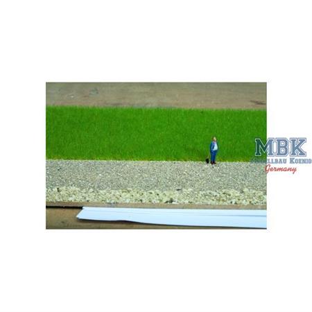 Grasmischung Kuhweide