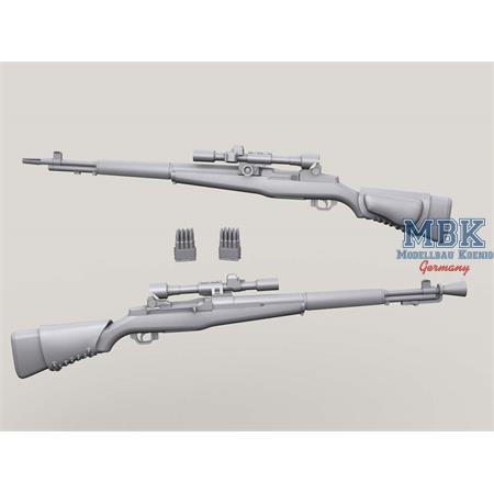 M1D Sniper Garand set