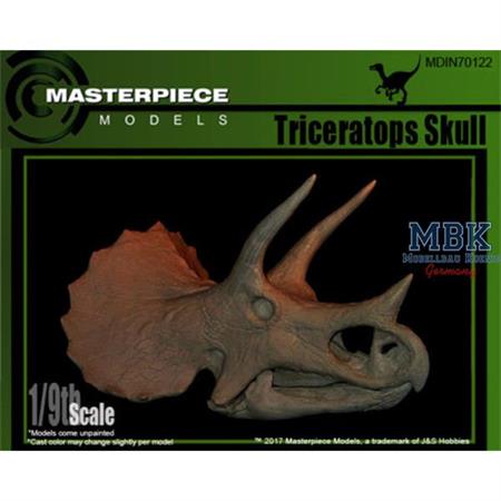 Triceratops skull/ Triceratops Schädel 1:9