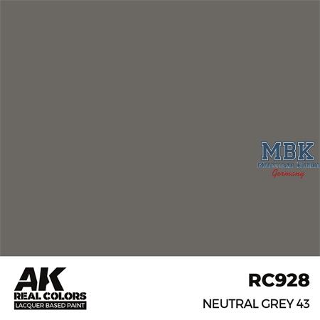 REAL COLORS: Neutral Grey 43 17 ml