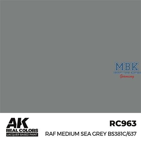 REAL COLORS: RAF Medium Sea Grey BS381C/637 17 ml