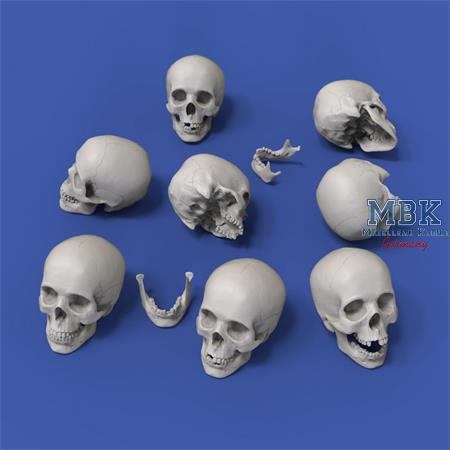 Skulls/ Totenköpfe (54mm)