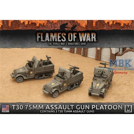 Flames Of War: T30 75mm Assault Gun Platoon