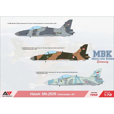 Hawk 209 light fighter (Indonesian A.F.)